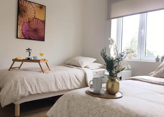 Lujoso Apartamento En San Cristobal De La Laguna
